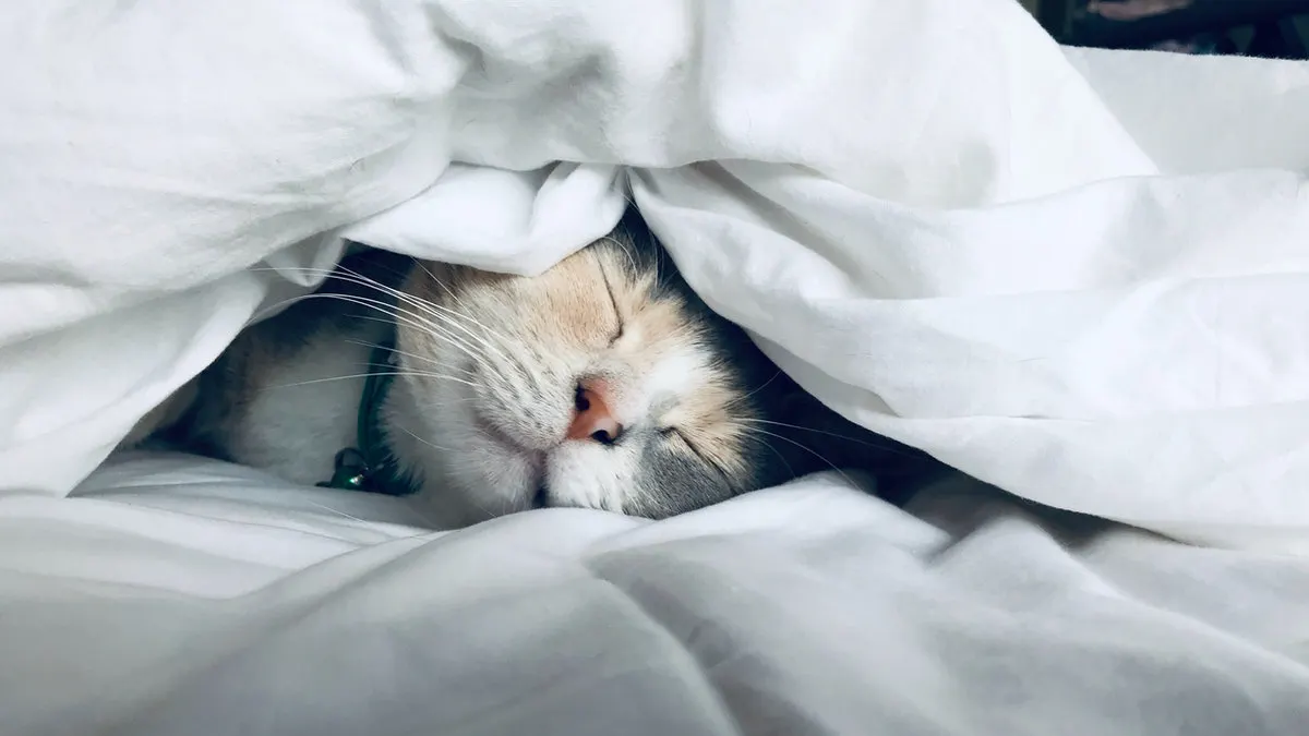 Chiropractic Care and Sleep: How Spinal Health Affects Your Rest