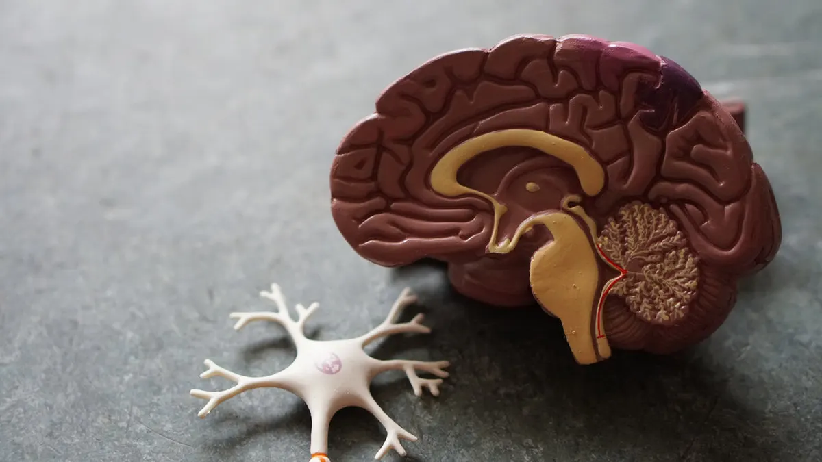 Chiropractic for Stress Relief: A Natural Way to Relax and Rejuvenate