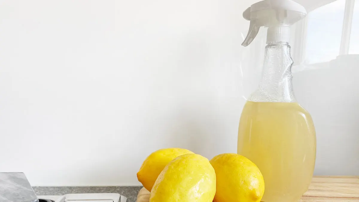 Spring Cleaning for Your Health: Aligning Your Spine for Optimal Wellness
