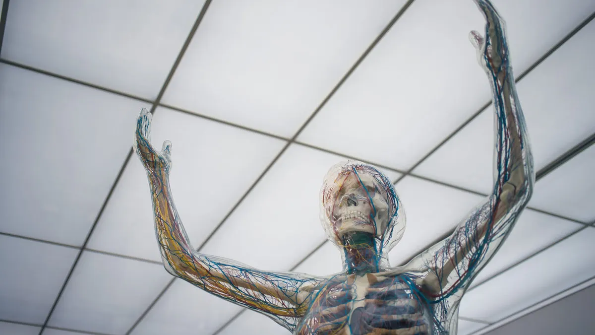Understanding Convulsions - Unraveling Their Connection to Neurological Health and Chiropractic Care