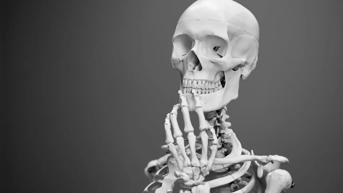 Understanding Subluxation