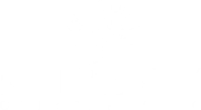 Mulberry Chiropractic