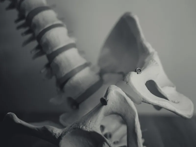 X-Rays at Mulberry Chiropractic in Houston